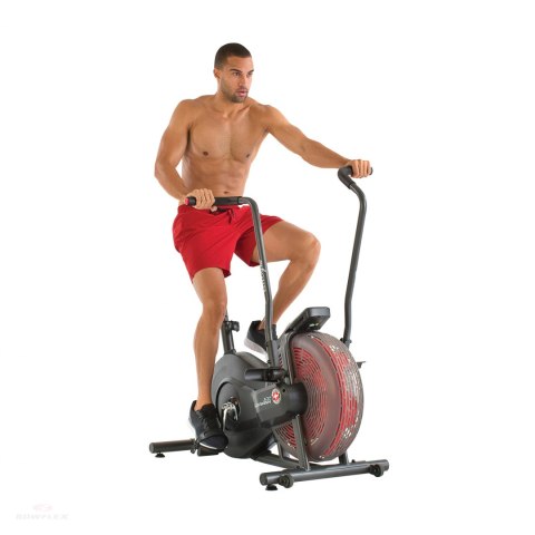 SCHWINN ROWER POWIETRZNY AIRDYNE AD2i SCHWINN ROWER POWIETRZNY AIRDYNE AD2i
