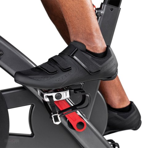 SCHWINN ROWER SPINNINGOWY IC8 + Akcesoria GRATIS SCHWINN ROWER SPINNINGOWY IC8 + Akcesoria GRATIS