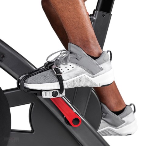 SCHWINN ROWER SPINNINGOWY IC8 + Akcesoria GRATIS SCHWINN ROWER SPINNINGOWY IC8 + Akcesoria GRATIS